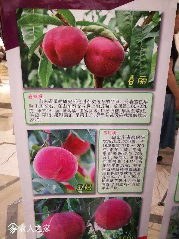 080553wfbcl0cd1wdc7tya.jpg