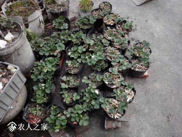 ΢��ͼƬ_20171224200500.jpg
