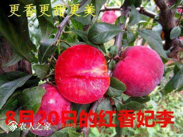 003757abtiqrqzr8qrrw7w.jpg