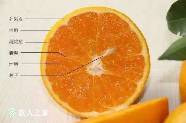 6364962555866534906670993.jpg