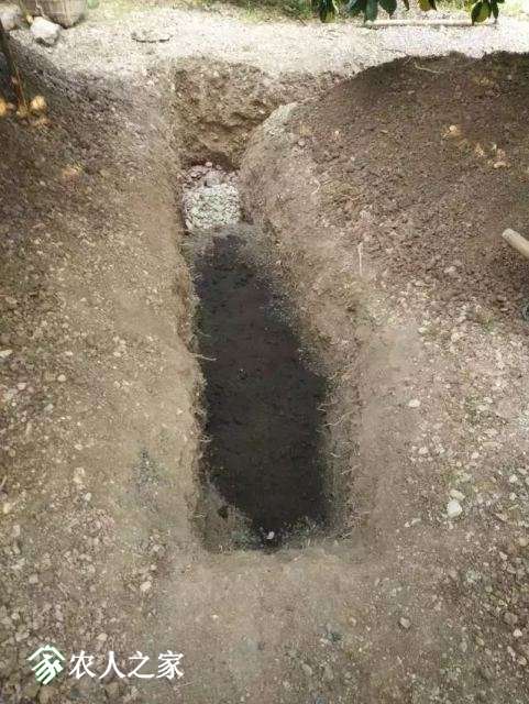 6364962555919659901341569.jpg