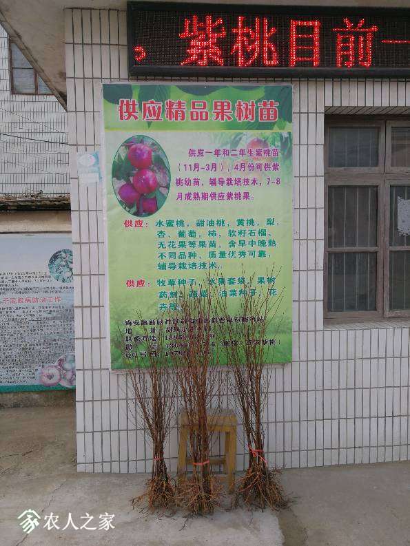 011626atqvh9hs6ko9ljlk.jpg