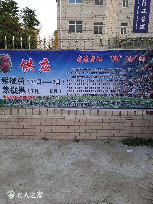 011626c1plpxhhqdhnh1i1.jpg