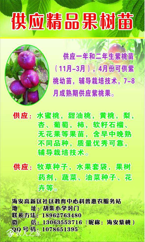 011626hfop15p55c1ppccp.jpg