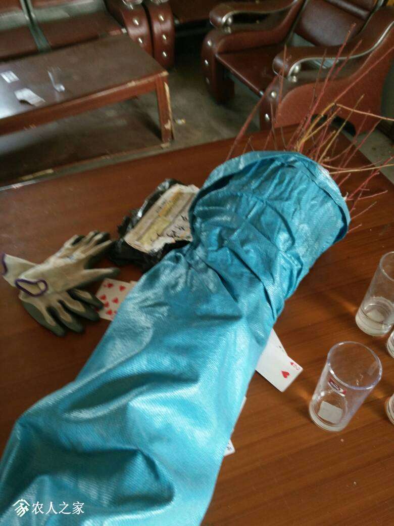 184725l5ttsoxrvlqllpua.jpg