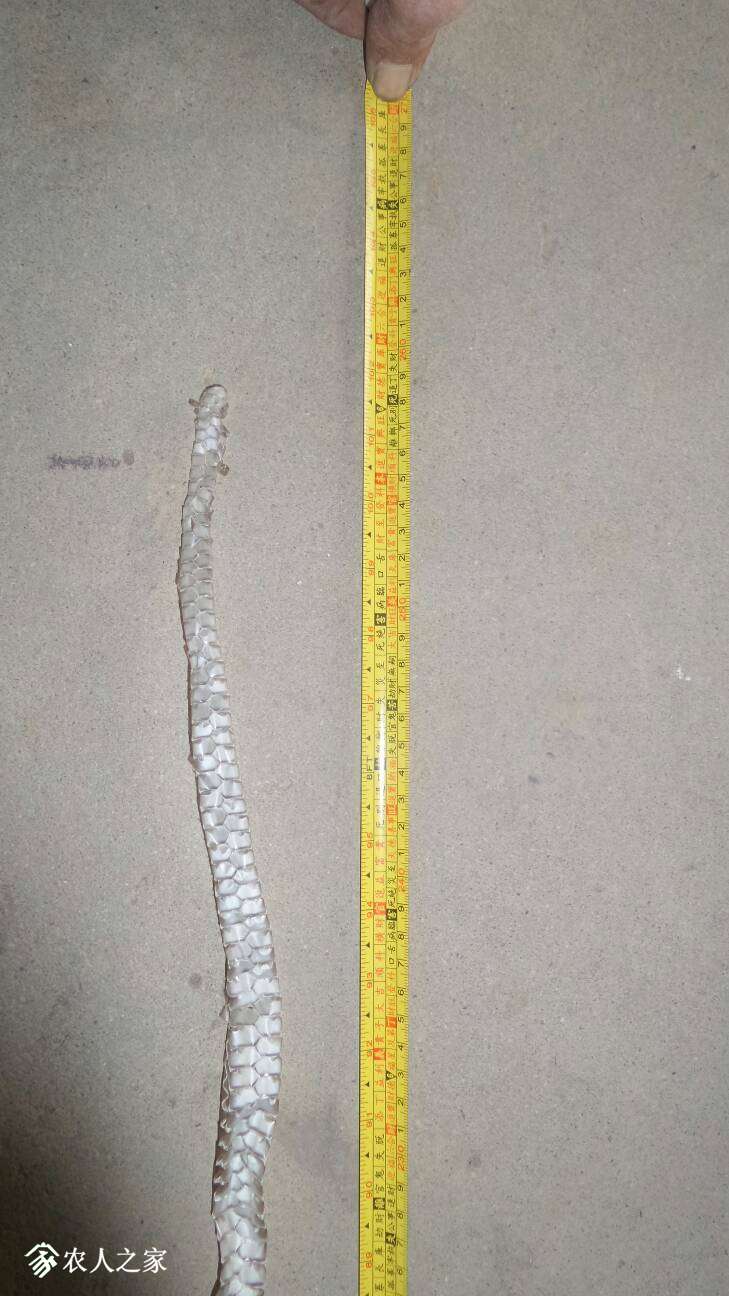 130154hyisaw44abg6zsr4.jpg