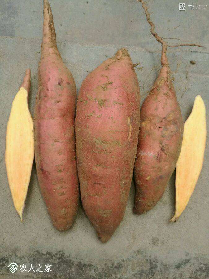 163556jemq11m1m0uum111.jpg