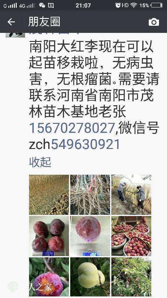 172851caao1oidc6uyygg1.png