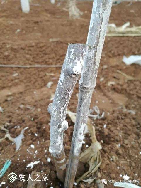 20171228_101532_001.jpg