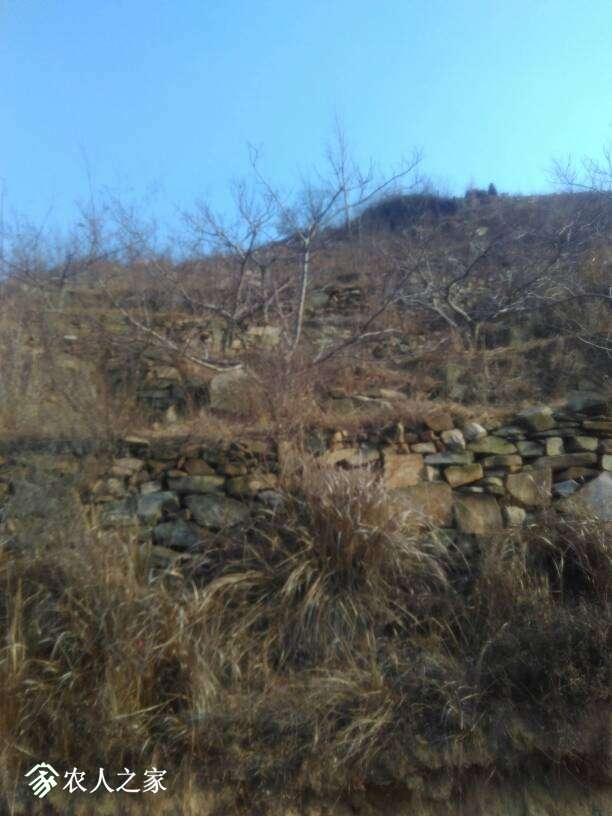 190142tvdd33zmjvp3sxmn.jpg
