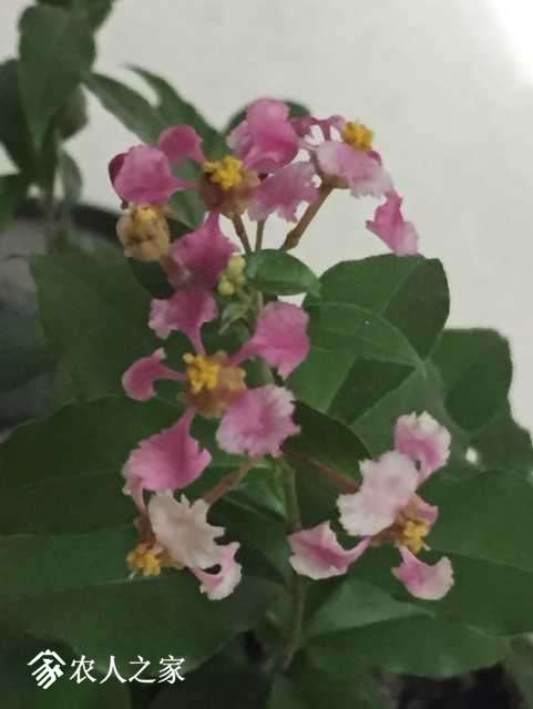 18042B69-51D0-4B9B-8992-2F6DBA26D149.jpeg