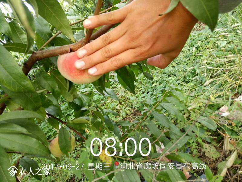 124540cbq5tzhi5b6bqtzb.jpg