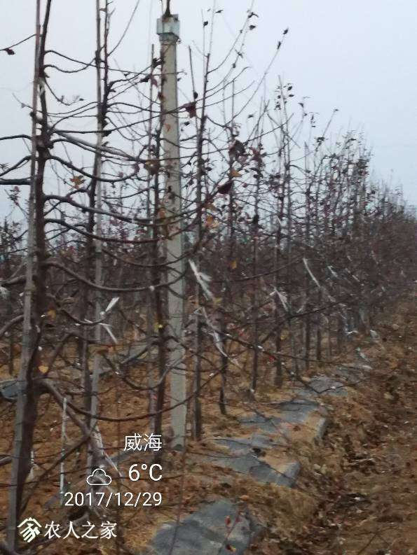 174150loh4g8qgkgk4gc7s.jpg
