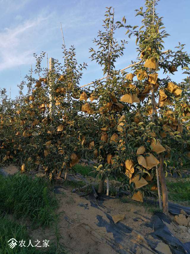 174153pxdjerhd6n733633.jpg
