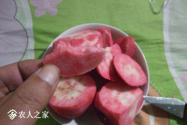 Ƭ 008.jpg