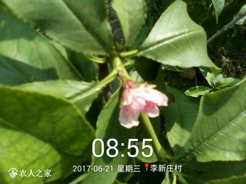 064100nmdrra8m5mtmm7ae.jpg