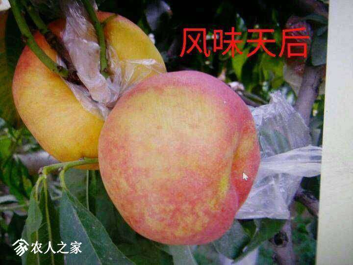 084625zigpi4bp9r5m6zvx.jpg