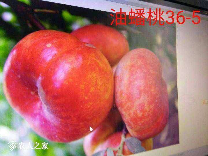 143126uc2ff0um2p83pcfr.jpg