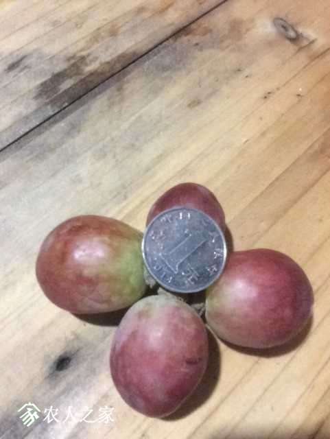image.jpeg