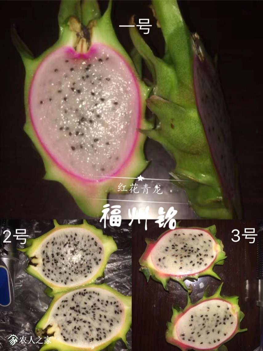 122449f9bpr5fhgtrhbcbg.jpg