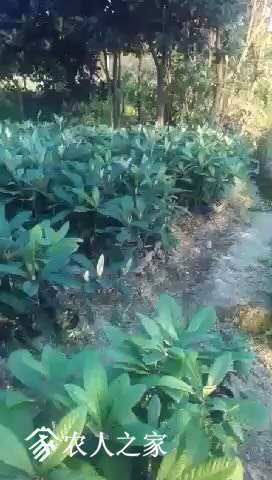 124459fue8elc7oq27x9mr.jpg