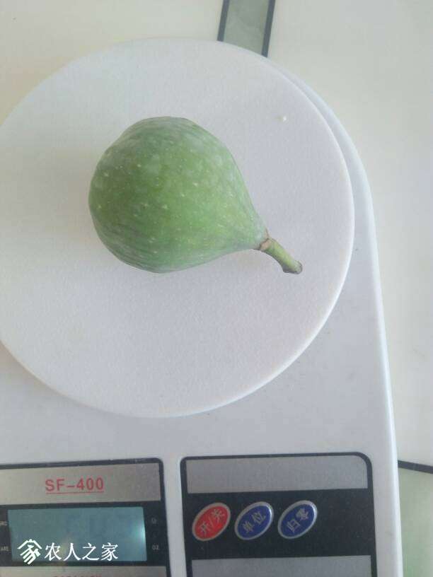 135552rws1eet1fzwswkbu.jpg