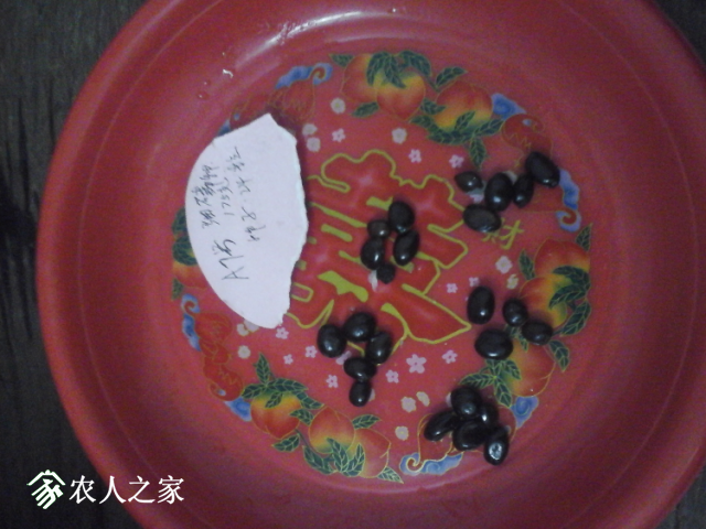 20171231_214524.jpg
