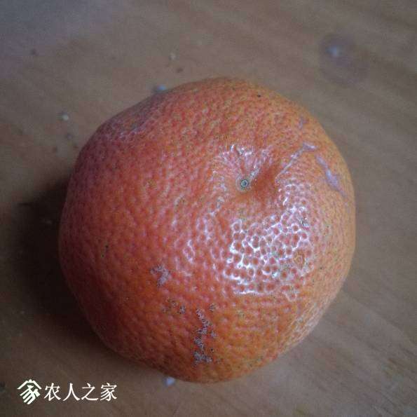 083855vd1hx0cch6ddfcfc.jpg