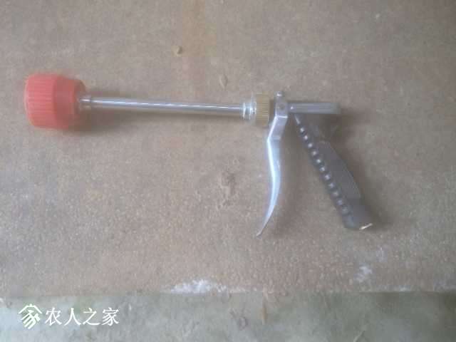 image.jpeg