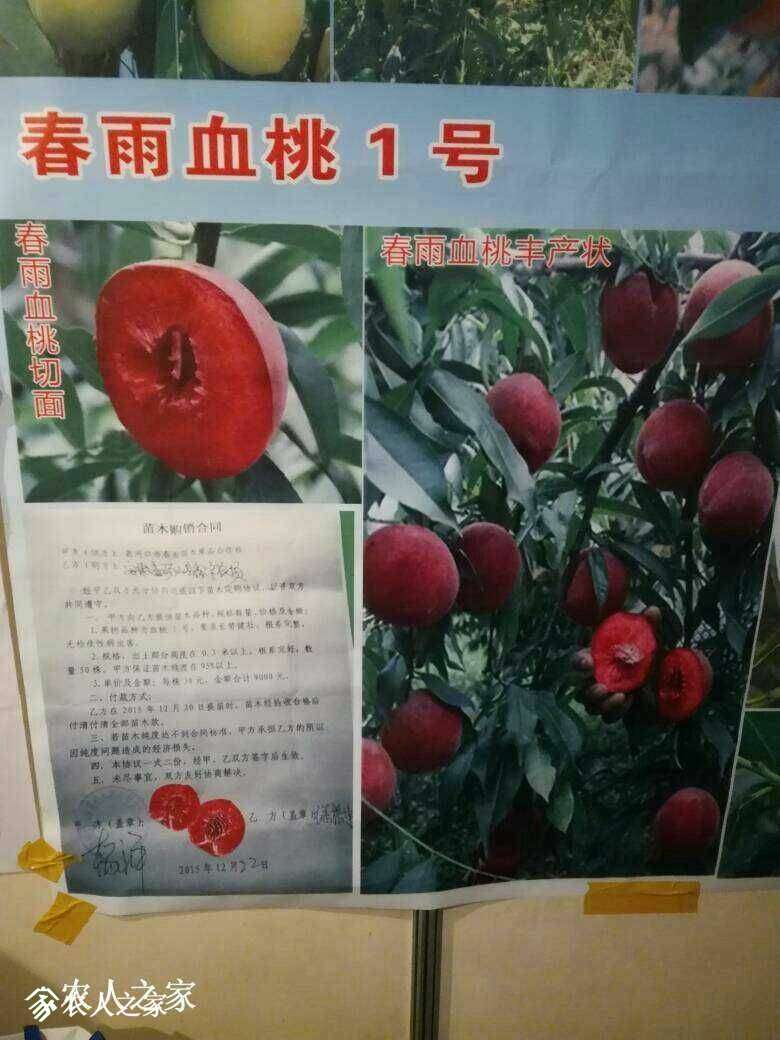120504e4qzxet0xx4ot64a.jpg