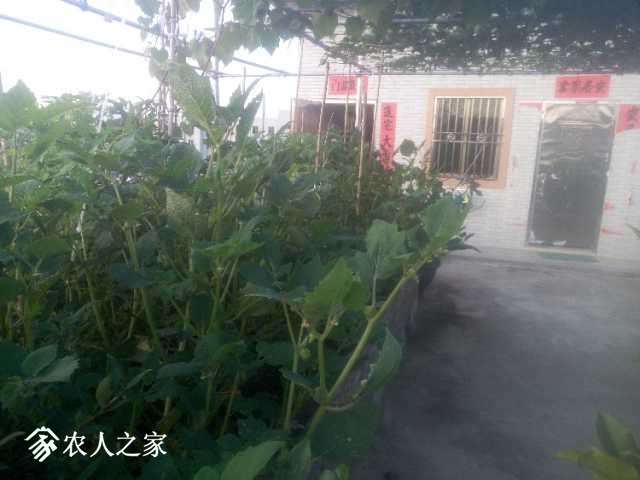 P71123-073650.jpg