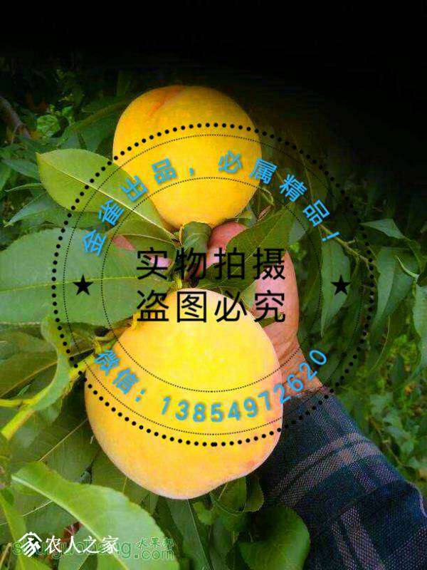 101625ymsww3m2qth2pf91.jpg