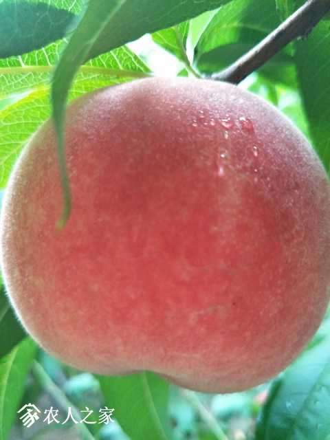 IMG20170807055717.jpg