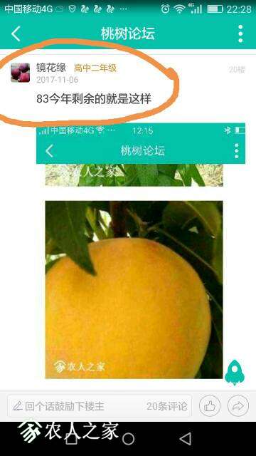 232903ccldwcciw9yk5fml.jpg