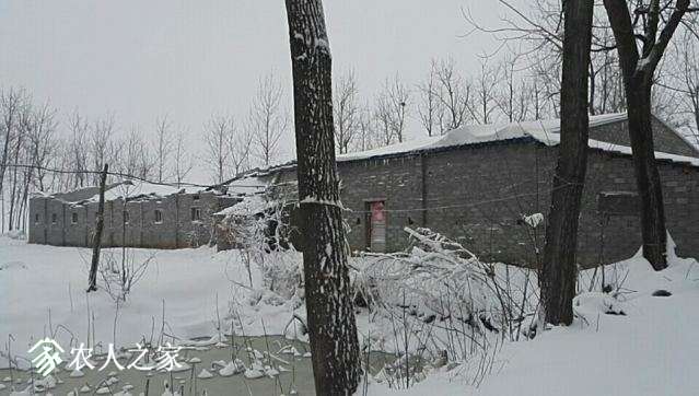 wx_camera_1515028046265.jpg