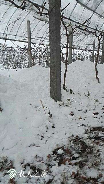 wx_camera_1515053311346.jpg