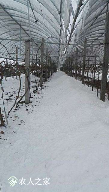 wx_camera_1515053340469.jpg