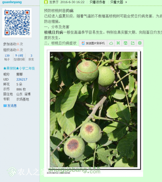 QQͼƬ20160703084030.png