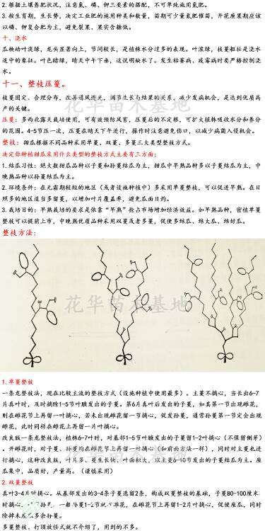 023944a8mp6c6ot3cfomou.jpg