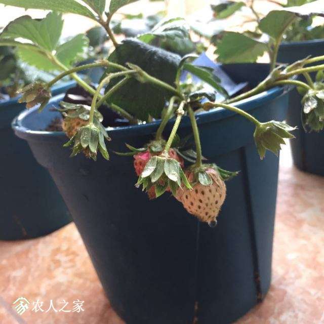 _20180105102027.jpg