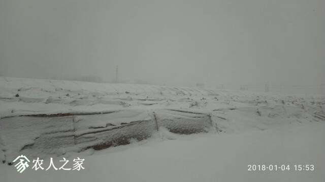 105714jhb18vn1uqnm4wf8.jpg