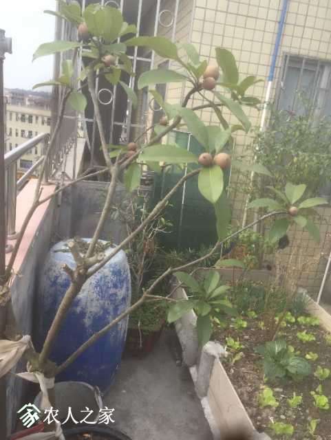 image.jpeg
