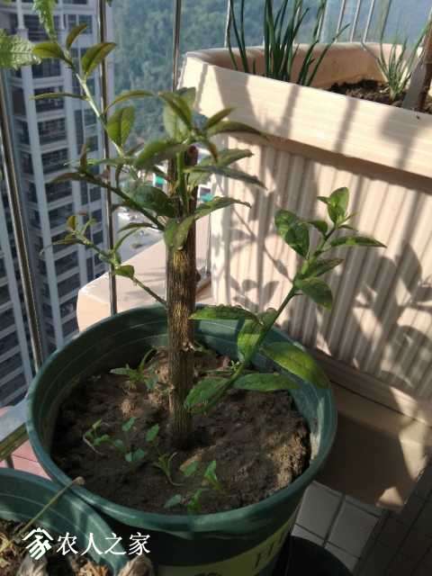 IMG_20180104_100840.jpg