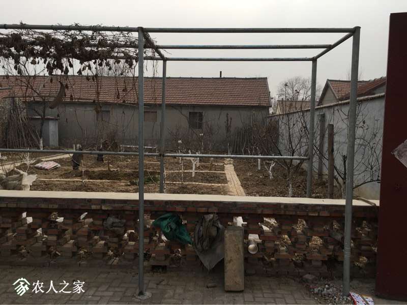 131737u7x45vbex48x4eke.jpg