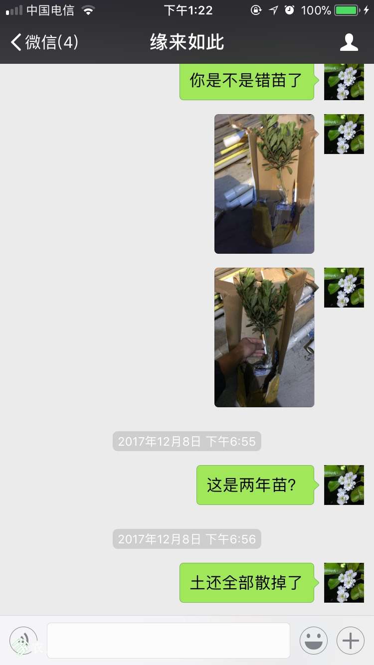 132420sao4taaaoo4mqchn.jpg