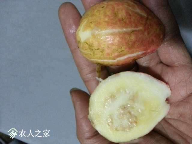 20180107_191313.jpg