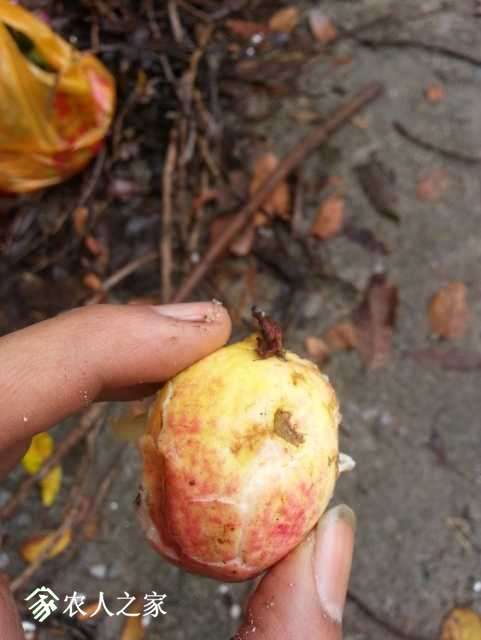 20180107_130900.jpg