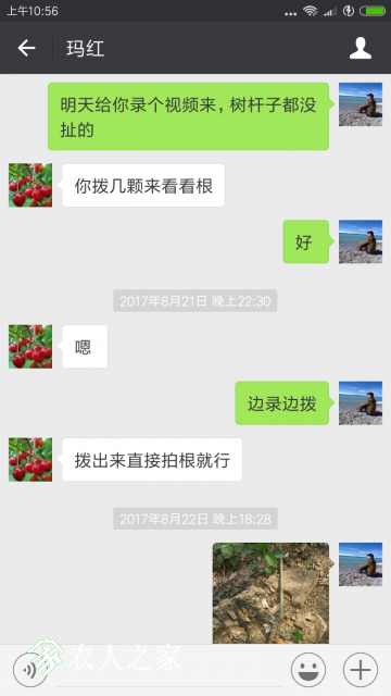 Screenshot_2018-01-06-10-56-30-747_com.tencent.mm.png
