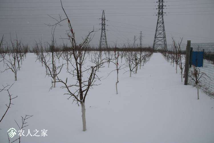 161231cn2qfee15in9ui61.JPG