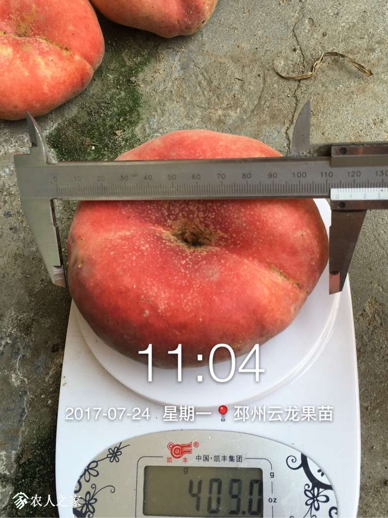 213357fvlcnl3c52wawfat.jpg